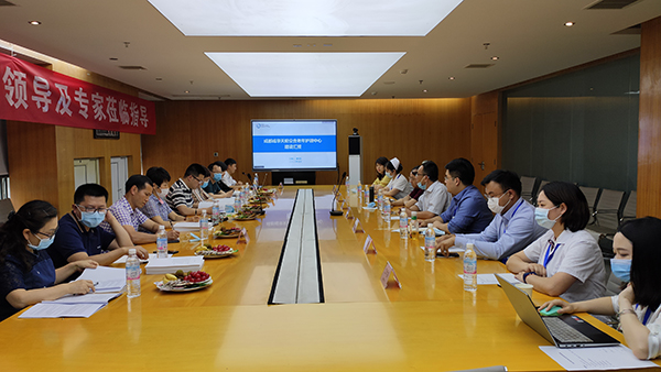 图1专家听取汇报现场.jpg 图1专家听取汇报现场.jpg